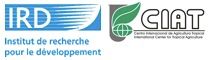 IRD-CIAT horizontal